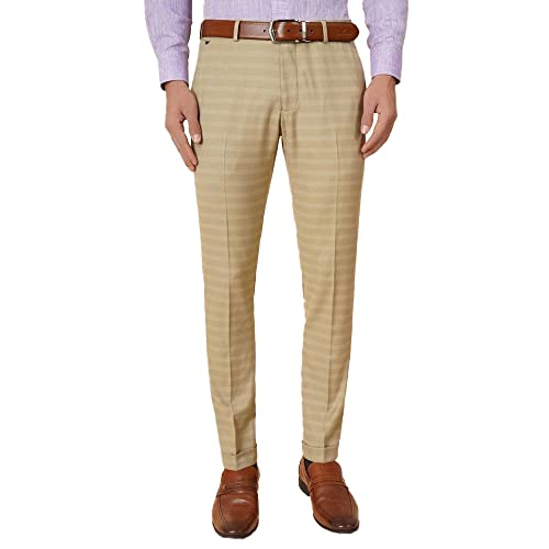 Image of blackberrys Stripes Polyester Viscose Slim Fit Mens Trousers (S22BB45A2IS22F1-P)