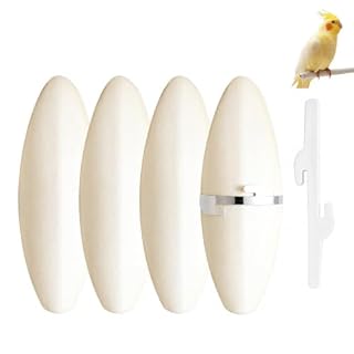 MLRUQRX os de seiche 7 à 9 cm, lot de 4 avec attaches