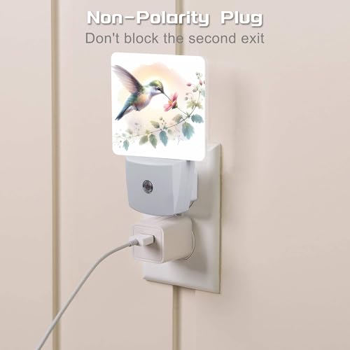 Image of Groovy Hummingbird Flower Night Light for Kids, Watercolor Floral Bird Night Light Plug in with Dusk to Dawn Sensor, 0.5w Energy Saving Sleep Friendly Nightlight for Hallway Stairway Kitchen Bedroom