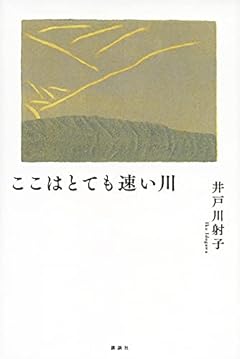 ここはとても速い川