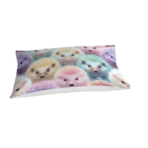 Ensemble de literie microfibre hérisson 3D pour des nuits douces en hiver - 3