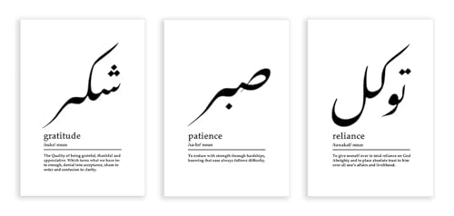 Affiches islamiques Sabr Shukr calligraphie arabe noir et blanc art mural salon