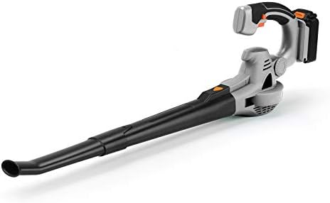 Image of Silver and black handheld leaf blower