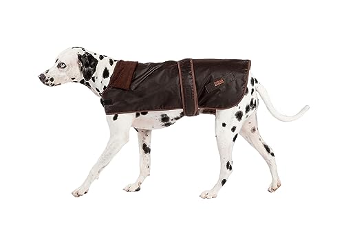 Beauty Water Fatface Sussex - Abrigo de algodón Encerado marrón para Perro o Cachorro, 55 cm, Color Naranja