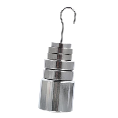 NAMOARLY Professional Slotted Mass Set Metal Mass Hanger for Physics Labs Weighing Calibration