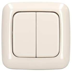 Busch-Jaeger Duro 2000 Doppel-Lichtschalter 1-fach