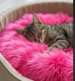 Image of Prokart Soft Faux Fur Fabric Cloth - 60 Inch Wide Pana | Fur Fabric Decorative Cloth for Crafting Soft Toys, Fancy Dress, Baby Photoshoot, Wedding Mandap & Party Decor (Dark Pink, 1 Mtr)