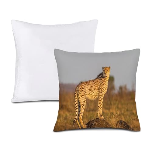 NEERDOOM Savannah - Juego de fundas de almohada de lino y núcleo de almohada, animales salvajes, almohada suave para sofá de granja, decoración moderna para el hogar, sala de estar, cama, sofá
