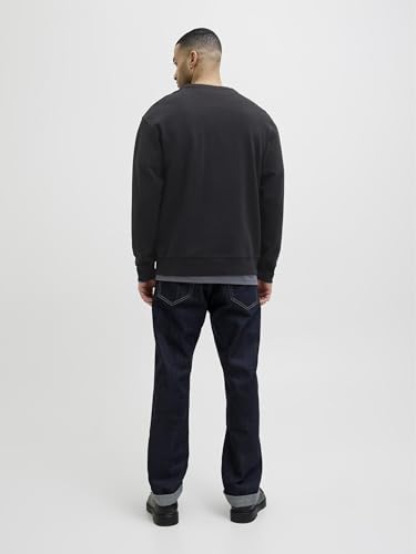 JACK & JONES RDDDEAN Sweat Crew Neck L/S SN 3
