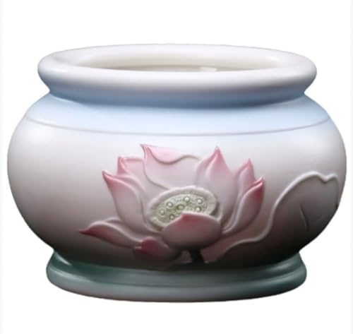 SLLS 퐻@؍F ƒ땧dp @ؖ͗l򕵈͋C ĐϋvqǍD 莩RU |e pO (5C` @؍F)