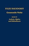  Felix Hausdorff - Gesammelte Werke: Analysis, Algebra Und Zahlentheorie