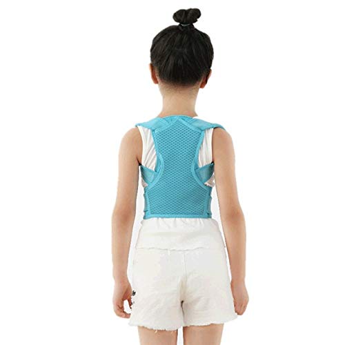 p ߉\ qp CobNT|[g p T|[g Ғ EGXgXgbv `OȗpRZbg u[Xxg wXPA T|[gu[X (F : sN TCY : XS) (u[ X charitable