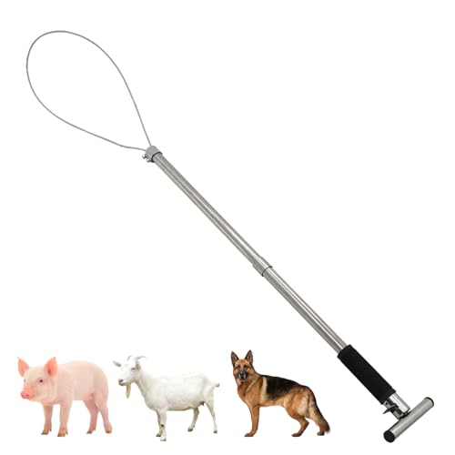 Dog Catcher Pole Animal Control Pole Cat Catcher Pole Heavy Duty Catch Pole Trap Kit for Dogs Pig Fox Hog and Other Wildlife Length 30 inches