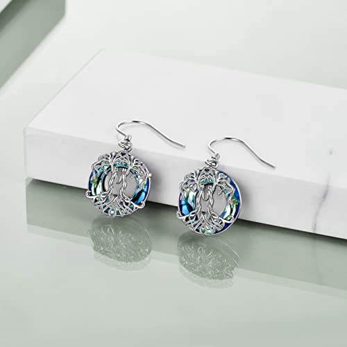 YFN Sister Earrings Gifts from Sister, Sterling Silver Crystal Sister Earrings Jewelry, Birthday Jewelry Gift for Sisters2