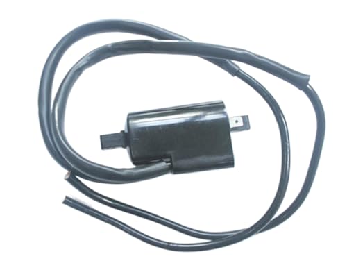 Bobine d'allumage 12V pour Suzuki Bandit GSF 400 600 1200