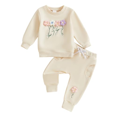 Toddler Baby Girl Clothes Cute 3D Floral Infant Long Sleeve Sweathsirt Fall Winter Outfits Kids Pullover Pants Set