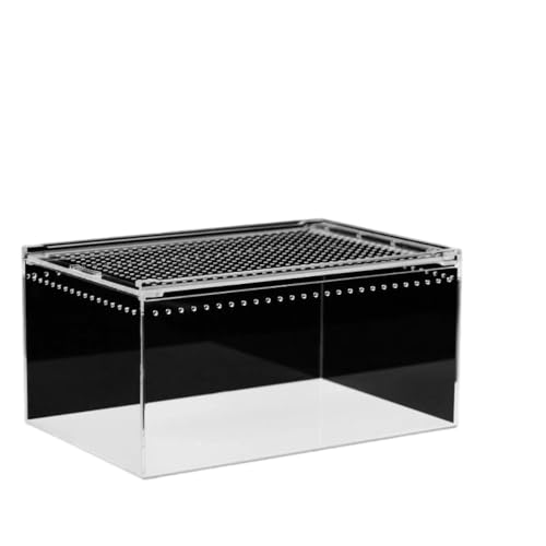 Giawkca ঒��ރe�����E���A�@�q�� �����A�N�����P�[�W�A��^�����e�����E���A�e�����E���B (40*25*20cm)