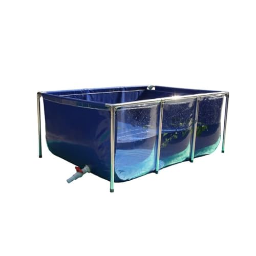 Aquarium hors sol avec panneau transparent et structure en acier