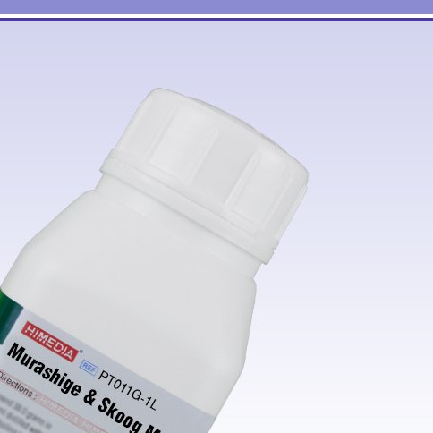 HiMedia PT011G-1L Murashige and Skoog Medium with Vitamins, Sucrose, Claribel (Gelrite) and Without CaCl2, IAA, Kinetin, 1 L