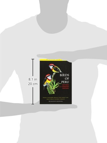 Birds of Peru: Revised and Updated Edition (Princeton Field Guides) - Image 3