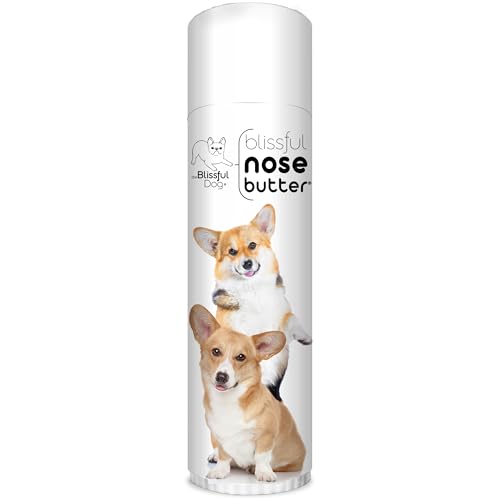 Image of The Blissful Dog Corgi Unscented Nose Butter, 0.50-Ounce