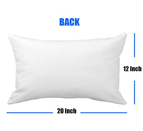 Fukeen Animal Throw Pillow Covers Super Soft Sea Gull Birds Decorative Waist Lumbar Pillow Cases Cushion Cover Home Sofa Car Decor Rectangle 12X20 Inches Pillow Shams, Grey White #TOP1