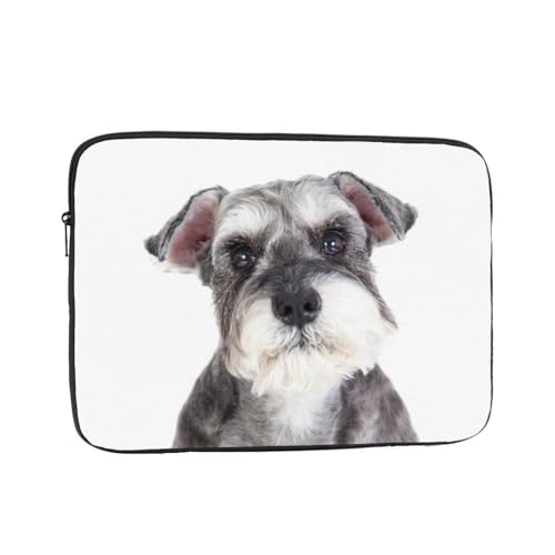 Ή ViEU[  ybg 10 Inch PcP[X Pc[Jo ϏՌH m[gpc P[X rWlX 