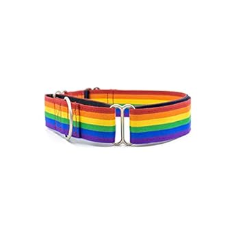PetWale Rainbow Pride Martingale Dog Collar (Size - Large)