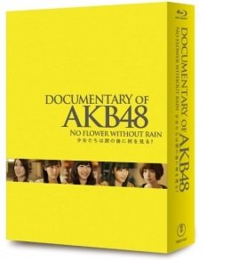 DOCUMENTARY OF AKB48 NO FLOWER WITHOUT RAIN 少女たちは涙の後に何を見る