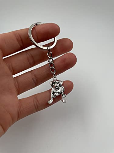 Onwomania - 'Hund Schnauzer Boxer Schlüsselanhänger - Metall Glücksbringer ideal als Geschenk z.B. für den besten Freund, die beste Freundin, Mama - Für Männer, Frauen & Kinder