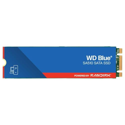 Amazon | WDS100T3B0B [WD Blue SA510 SATA SSD（1TB M.2(2280) SATA