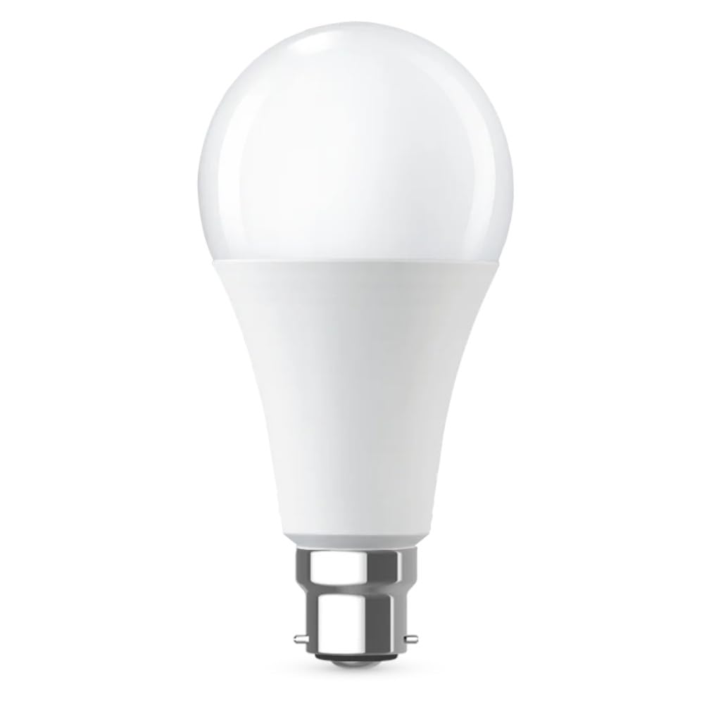 LED A80 GLS 19W (150W eqv.) BC 6500K 220-240V Opal