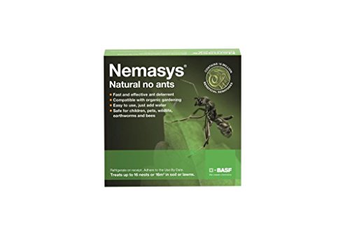 Nemasys no ant 16sqm pack