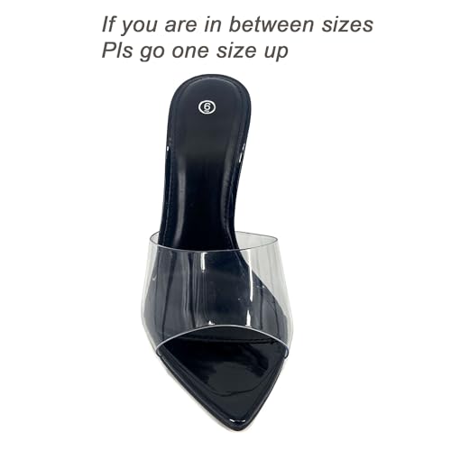 Shion Shaayii W168 Women Clear Pointed Toe Sandals Stiletto Heels Transparent Strap High Heels Slip thumb #1