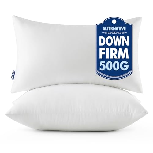 MIULEE 16x24 Throw Pillows Inserts 2 Pack Decorative Pillows for Couch Bed