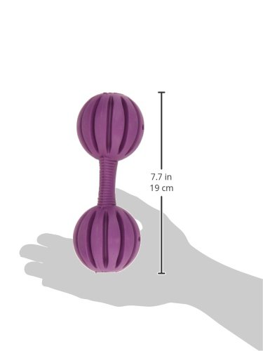 Brinquedo de Borracha Natural Vulcanizada WaGGle, Tamanho Médio Petsafe para Cães, Médio, Roxo