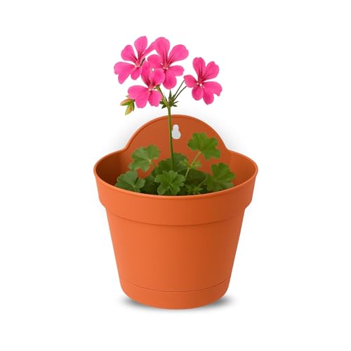 Macetero Con Soporte De Pared, Maceta Redonda Plástico, Tiesto Colgar Flores, Fabricado En Polipropileno, Recipiente Pared Para Flores, 15 Cm Diámetro X 9.3 Cm Base X 16.8 Cm Alto, Terracota