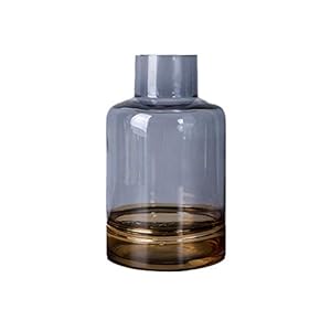 AOYANQI-Bloemstuk Side Table Vaas, Amber And Living Room Vaas grijze stiksels Vaas Heavy Glasvaas Rose tulpenvaas Wedding, 5 Styles Tafeldecoraties (Size : 15 * 15 * 25CM)