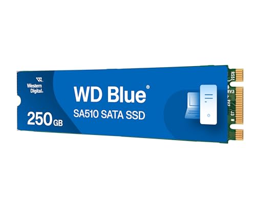 Amazon.co.jp: ウエスタンデジタル 内蔵SSD 250GB WD Blue SA510 M.2
