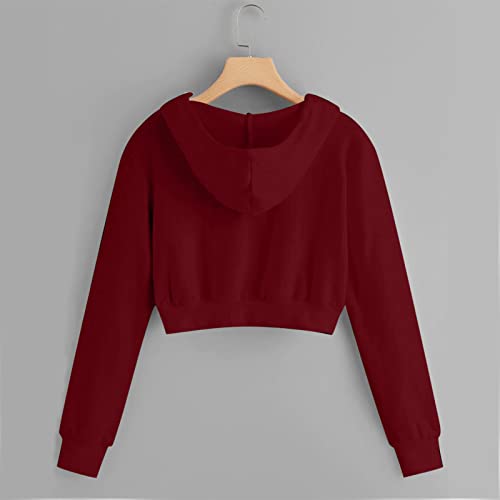 Akklian Women's Zip Up Crop Hoodie Y2K Long Sleeve Drawstring Fashion Cute Teen Girl Sweatshirts Fall Streetwear with Pockets3