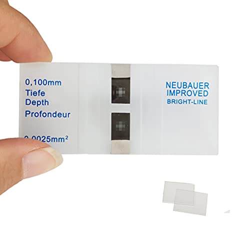 Neubauer-improved with bright lines