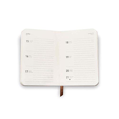 AGENDA SEMANAL MINI 2021 - MARIA EUGÊNIA - MATILDE, Teca, 20004043021