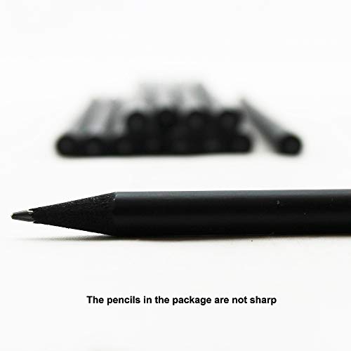 Lápices EZPENCILS & GIFTS 2HB Negro Paquete 10 miniatura 5