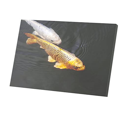 Tableau carpes koi or et blanc une toile imprimée haut de gamme pour salon