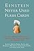 Einstein Never Used Flashcards: How Our Children Really Learn-- And Why They Need to Play More and Memorize Less