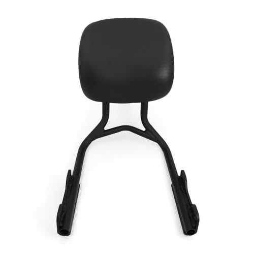 Respaldo pasajero desmontable para Speed 400 Scrambler 400X 3