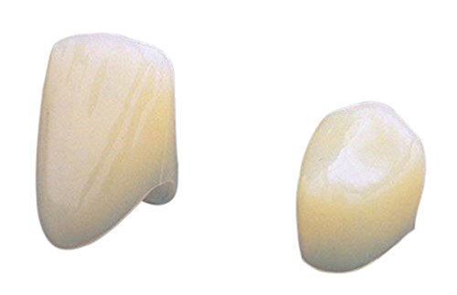 3M-ESPE P32 Prefabricated Crown, Upper Right Cuspid, 32 Size, Polycarbonate (Pack of 5)