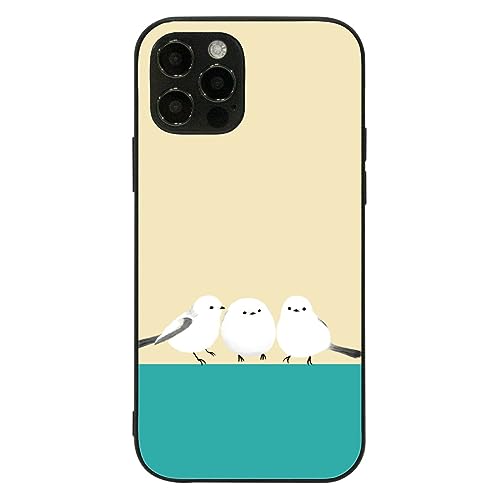 Amazon.co.jp: iPhone11 用 ケース 背面 9Hガラス ブラック カバー
