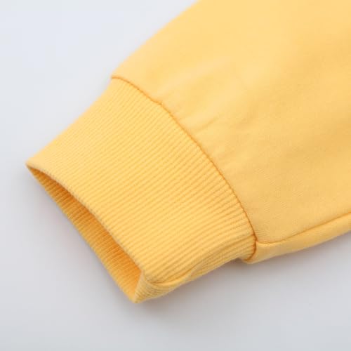 Image of Hongshilian Unisex Kids Cute Cartoon Cotton Sweater Shirt