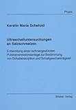 Ultraschalluntersuchungen an Salzschmelzen - Entwicklung einer rechnergestützten Pulstransmissionsanlage zur Bestimmung von Schallabsorption und Schallgeschwindigkeit